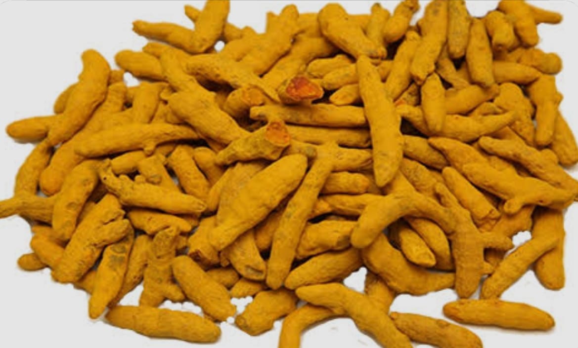 Turmeric Fingers Icon